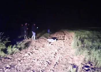 Yaylada üzerlerine yıldırım düştü
