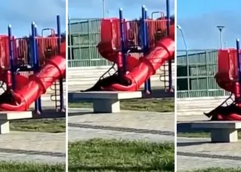 Devlet Başkanı parkta kaydırağa sıkıştı