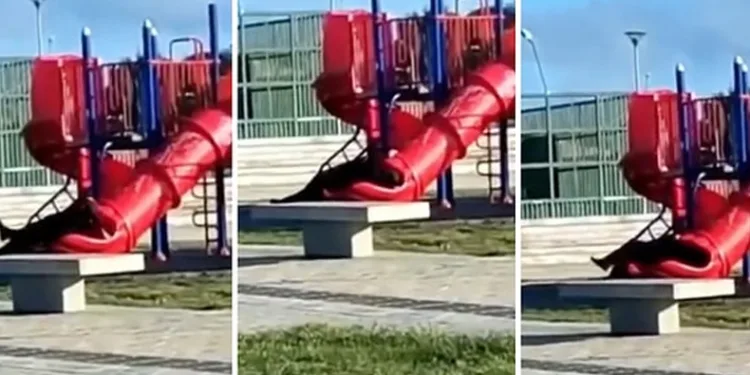 Devlet Başkanı parkta kaydırağa sıkıştı