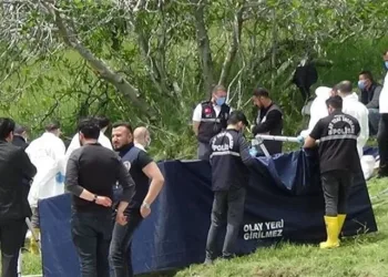 Tarlaya gömülmüş 3 ceset bulundu