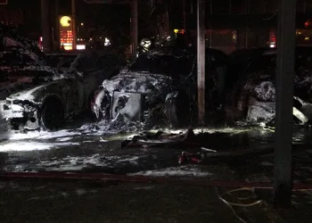 Lüks otomobiller alev alev yandı