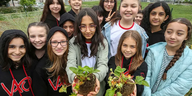 Nilüfer’de öğrenciler Mini Bostan’da fide dikti