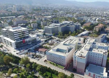 Dünya İnme Günü