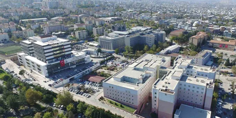 Dünya İnme Günü