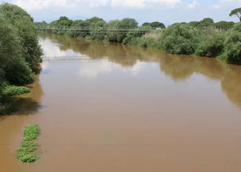 Menderes Nehri’nde sevindiren manzara