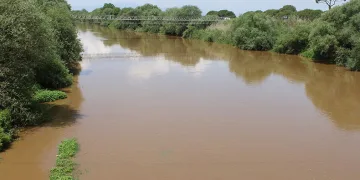 Menderes Nehri’nde sevindiren manzara
