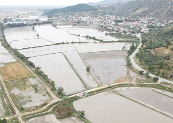 Sel, tarlaları sular altında bıraktı