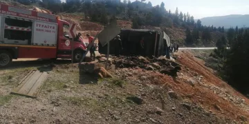 Tır devrildi, hayvanlar telef oldu