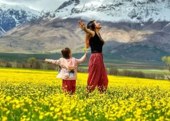 Hardal çiçekleri eşsiz manzara oluşturdu