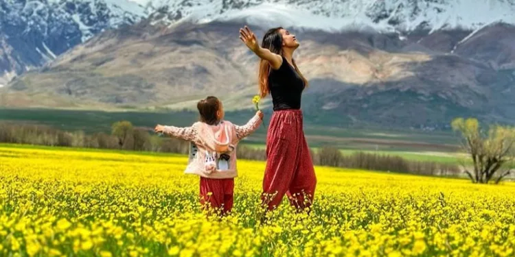 Hardal çiçekleri eşsiz manzara oluşturdu