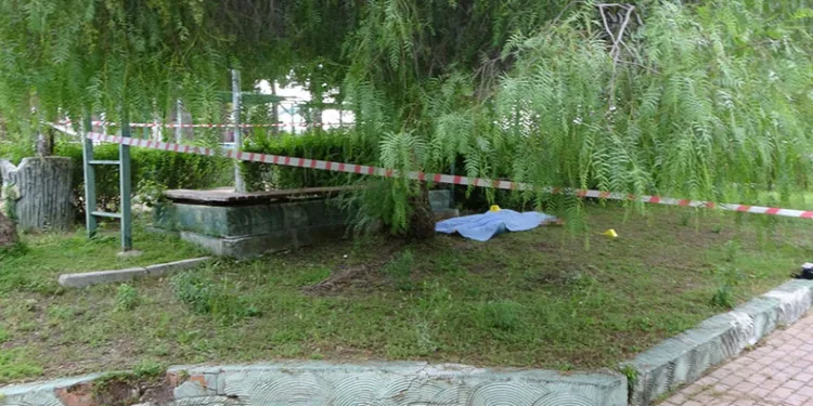 Başından vurulmuş halde bulundu
