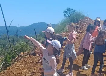 Öğrenciler yanan alanlara tohum topu attı