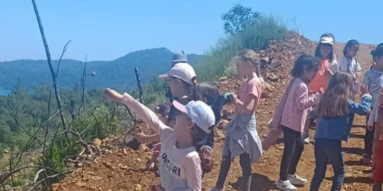 Öğrenciler yanan alanlara tohum topu attı