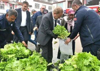Jeotermal seranın ilk ürünleri Haymanalılara