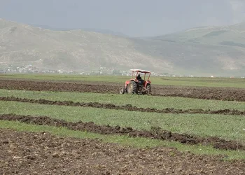 Buğday ve arpa ekimi başladı