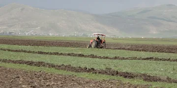 Buğday ve arpa ekimi başladı