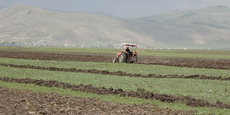 Buğday ve arpa ekimi başladı