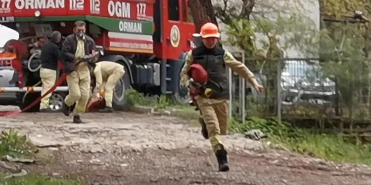 Bursa’da orman çalışanları eğitimlerini tamamladı