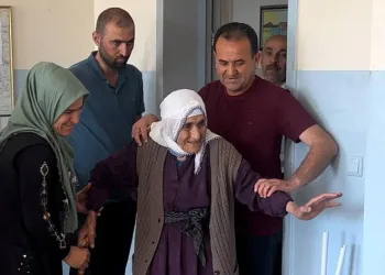 Asırlık çınar sandığa yürüyerek gitti