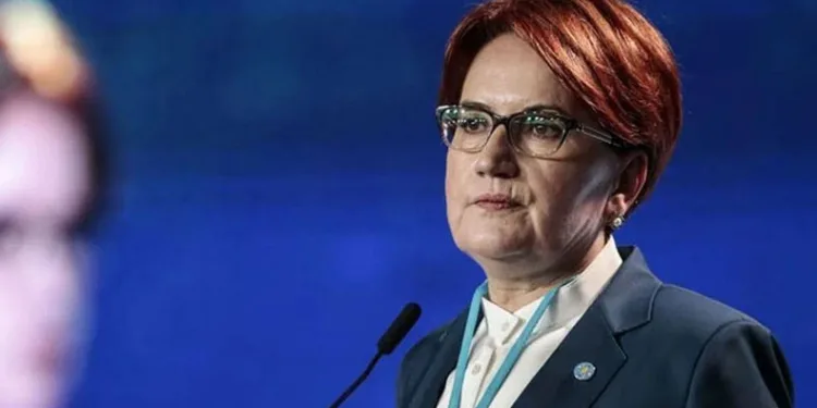 “Rövanşların havada uçuştuğu bir Türkiye’den bıktık”