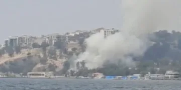 İzmir’de otluk alanda yangın
