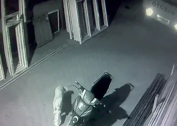 Mangal yapmak için aldıkları pirzolayı köpeğe kaptırdılar