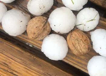Dolu milyonluk hasara neden oldu