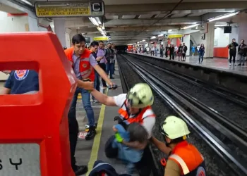 Raylara giren tavuk seferlerini aksattı