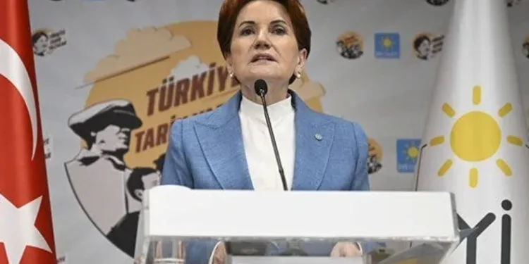 “Oğan değil, seçmenler karar verecek”
