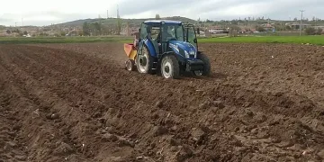 Tohumluk patatesler toprakla buluştu