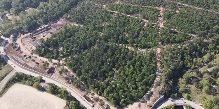 Osmanlı köyü Cumalıkızık’a orman parkı