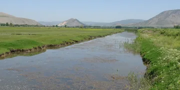 Kaz Gölü eşsiz güzelliğiyle mest ediyor