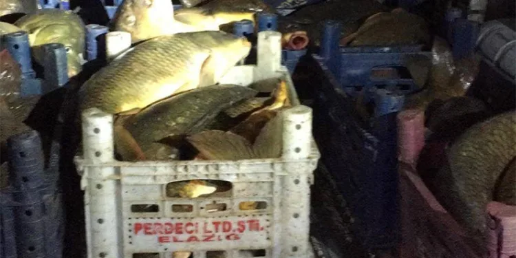 Kaçak avcıya 16 bin lira para cezası