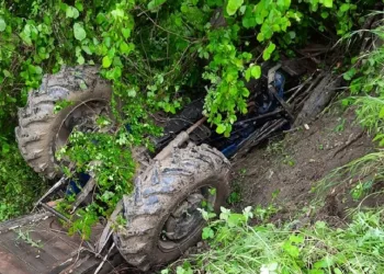 Bursa’da yaşlı çift ölümden döndü