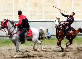 Erzurum’da cirit heyecanı