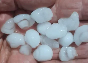 Sarıgöl’de dolu zararı