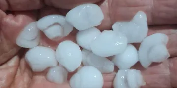 Sarıgöl’de dolu zararı