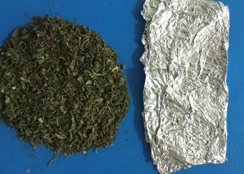 Jandarmadan uyuşturucu devriyesi