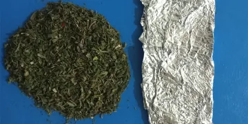 Jandarmadan uyuşturucu devriyesi