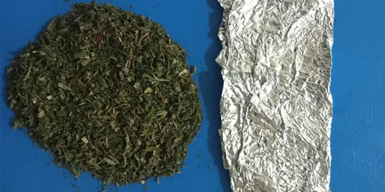 Jandarmadan uyuşturucu devriyesi