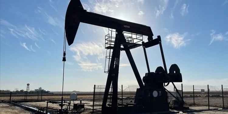 TPAO 15 sahada petrol arayacak