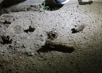 “İnsan kemiği” dedi, hayvan kemiği çıktı
