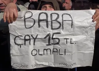 Çay fiyatı, üreticileri memnun etmedi