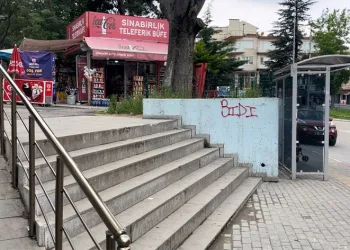 Merdiveni gören yol zannedip aşağı uçuyor