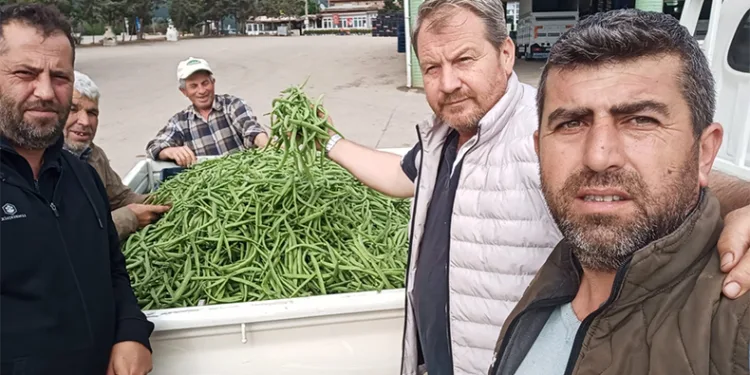 Bursa’da nazende fasulye çıktı