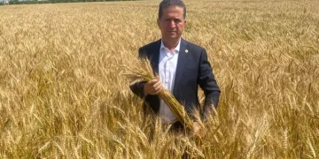 Üreticiler, buğdayda fiyat bekliyor
