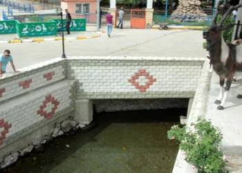 Erzincan’da şifalı su