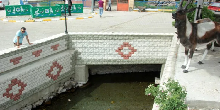Erzincan’da şifalı su