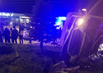 25 hayvan telef oldu