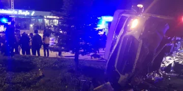25 hayvan telef oldu